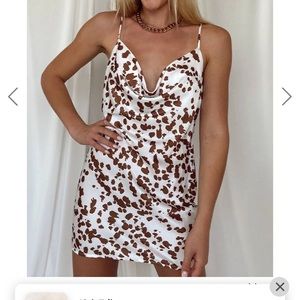 12th tribe cow print dress